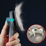 Hair remover brush